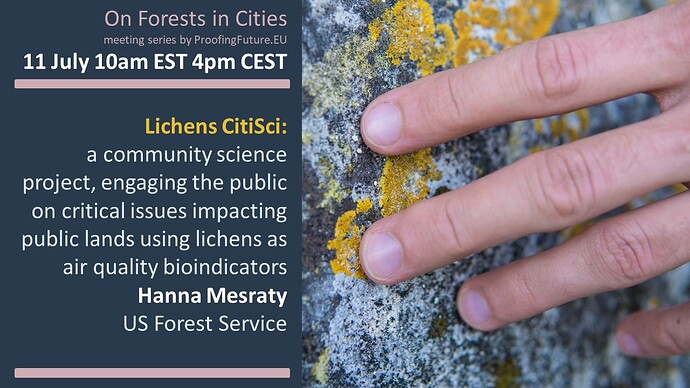 11 July _ On Forests in Cities 8